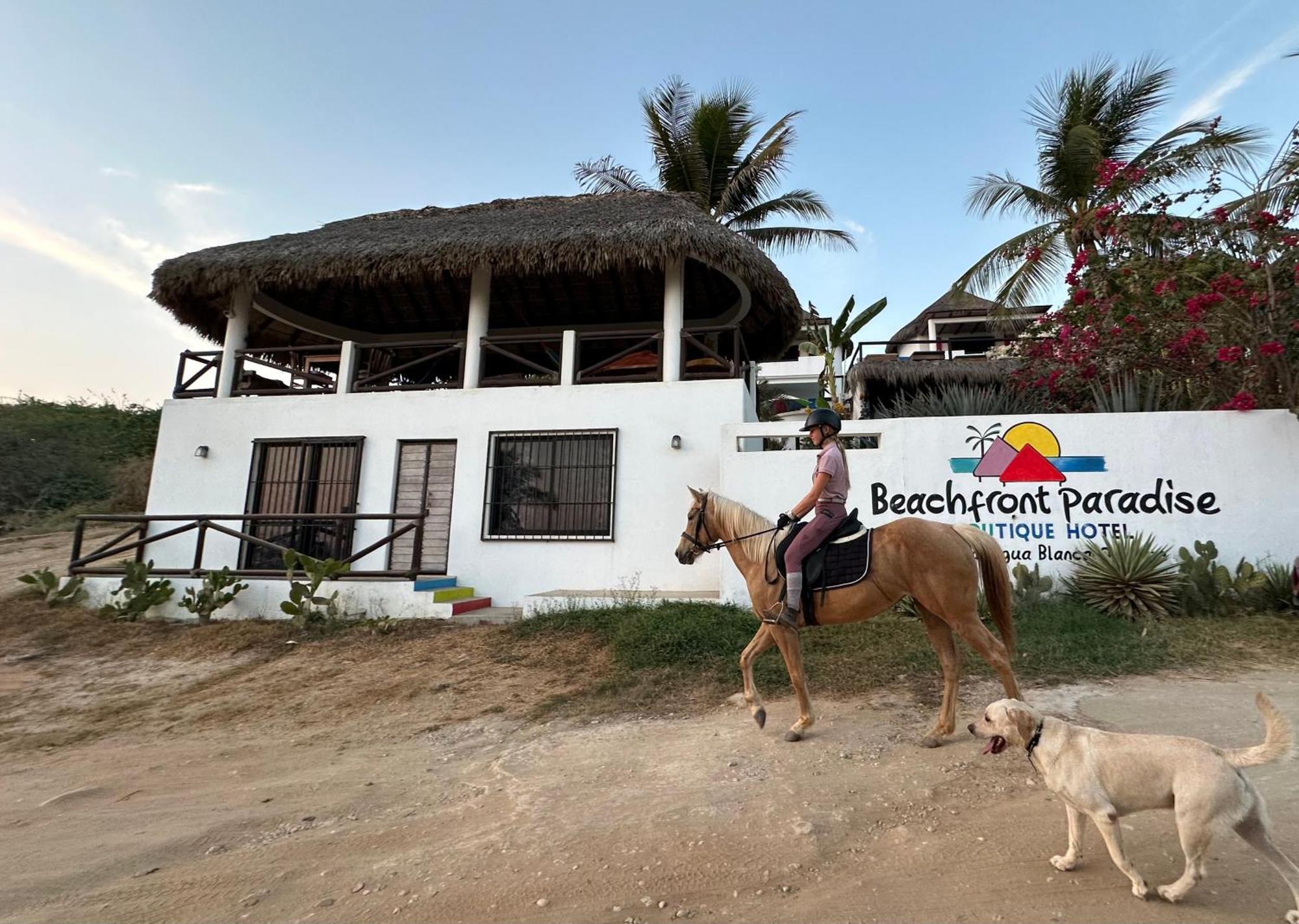 Beachfront Paradise Boutique Hotel Agua Blanca Exterior photo